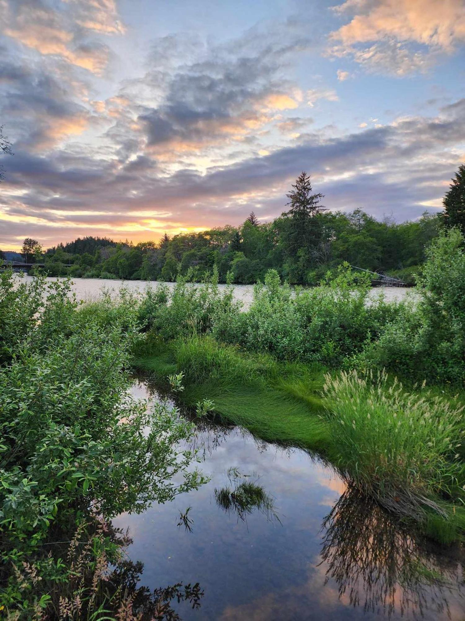 Campbell River Lodge ภายนอก รูปภาพ